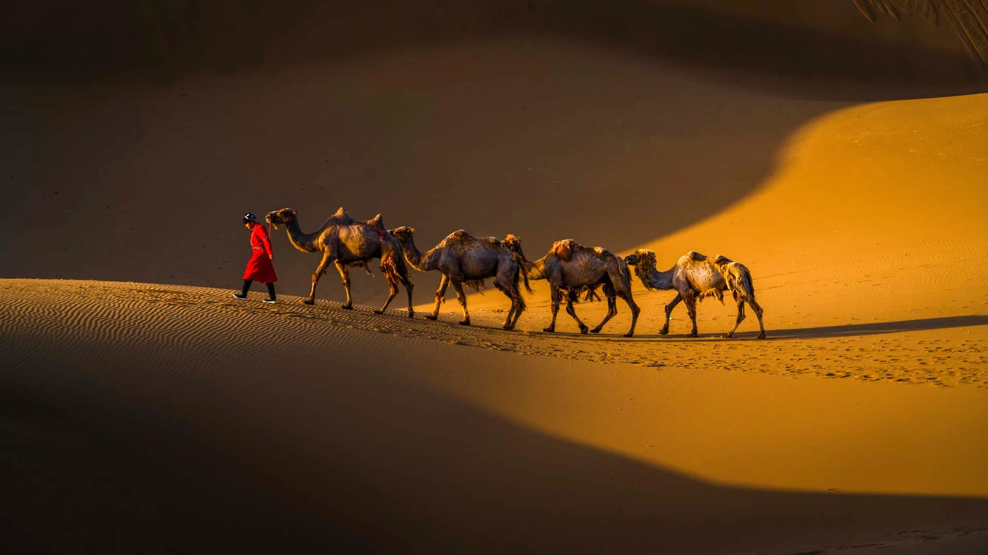Morning Walk: Kumtag Desert, XinJiang, China